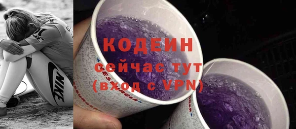 spice Богданович