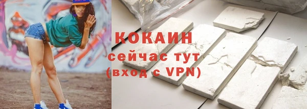 spice Богданович