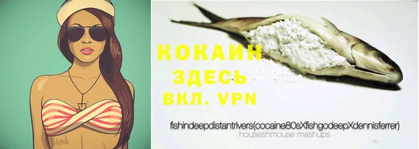 spice Богданович