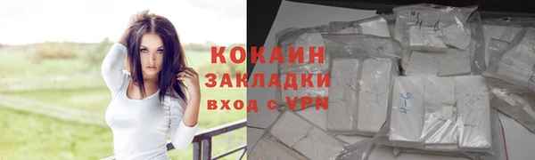 2c-b Богородицк
