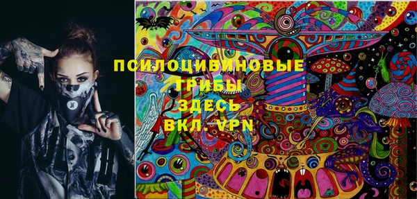 spice Богданович