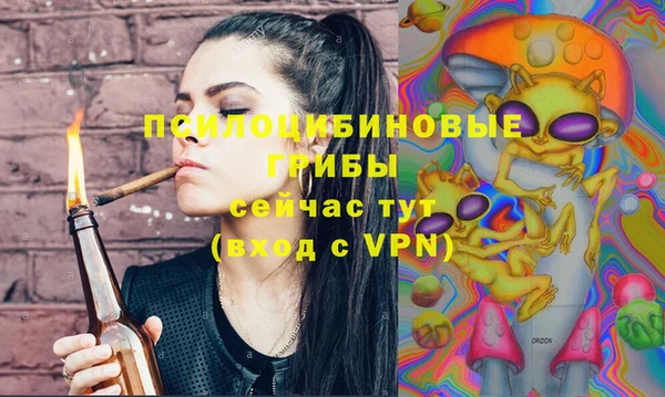 2c-b Богородицк