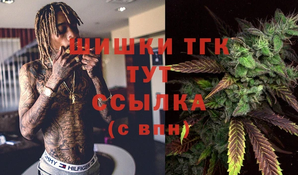 spice Богданович
