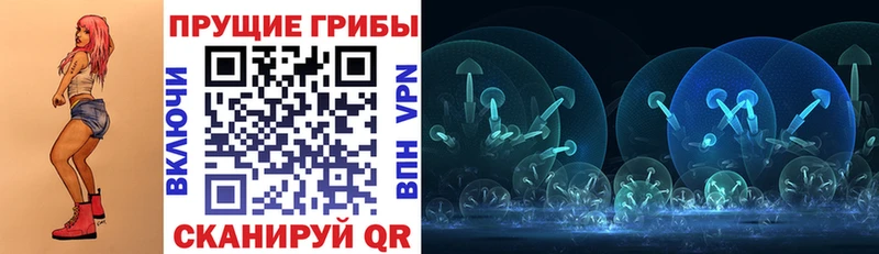 Галлюциногенные грибы GOLDEN TEACHER Джанкой